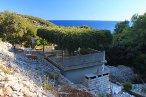 Secluded fisherman's cottage Cove Rasohatica, Korcula - 9233